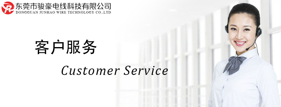 bevictor伟德官网电线客户服务中心