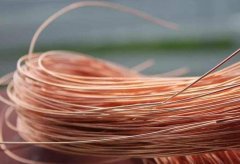 1-201026091236204-lp