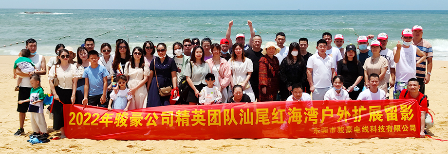 bevictor伟德官网电线2022年汕尾行